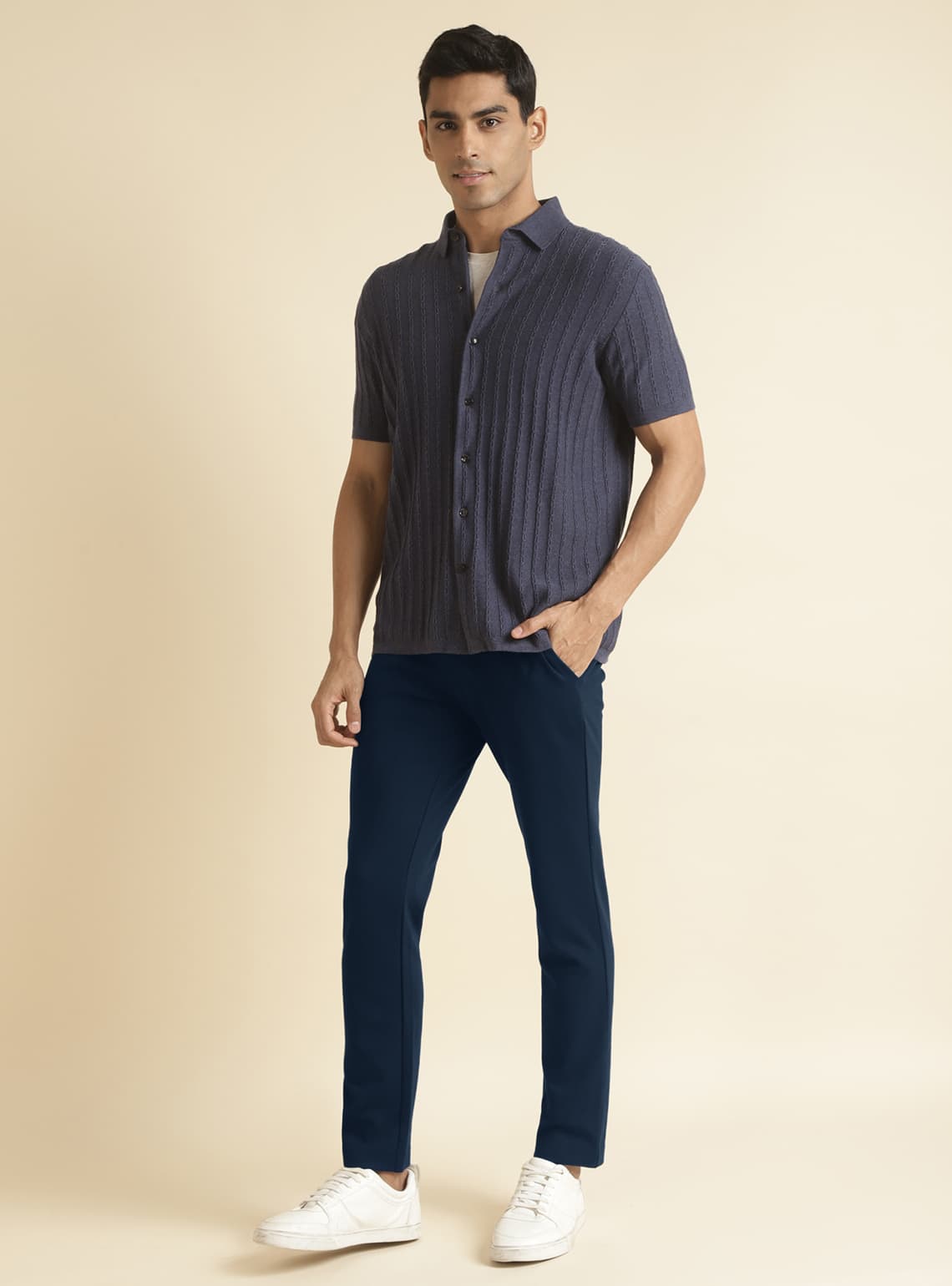 Buy Shadow Blue Trouser Casual Navy Solid Trouser for Men Online | Andamen