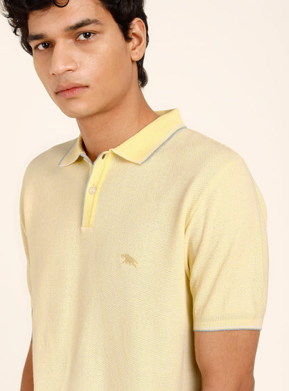 Lemon Custard Polo