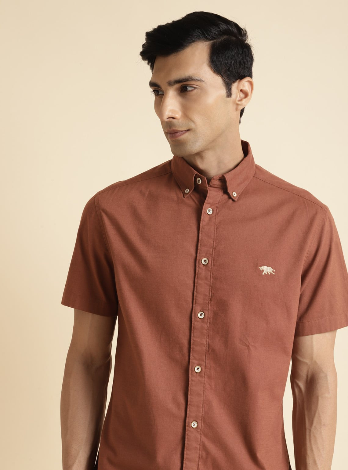 Buy Brown Tshirts for Men by Andamen Online