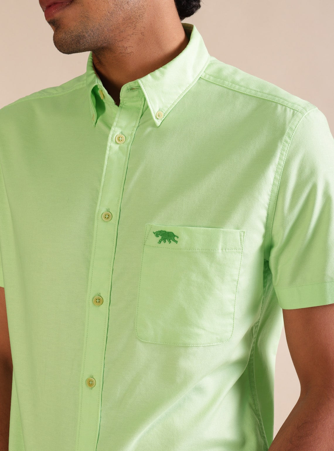 Peridot Oxford Shirt