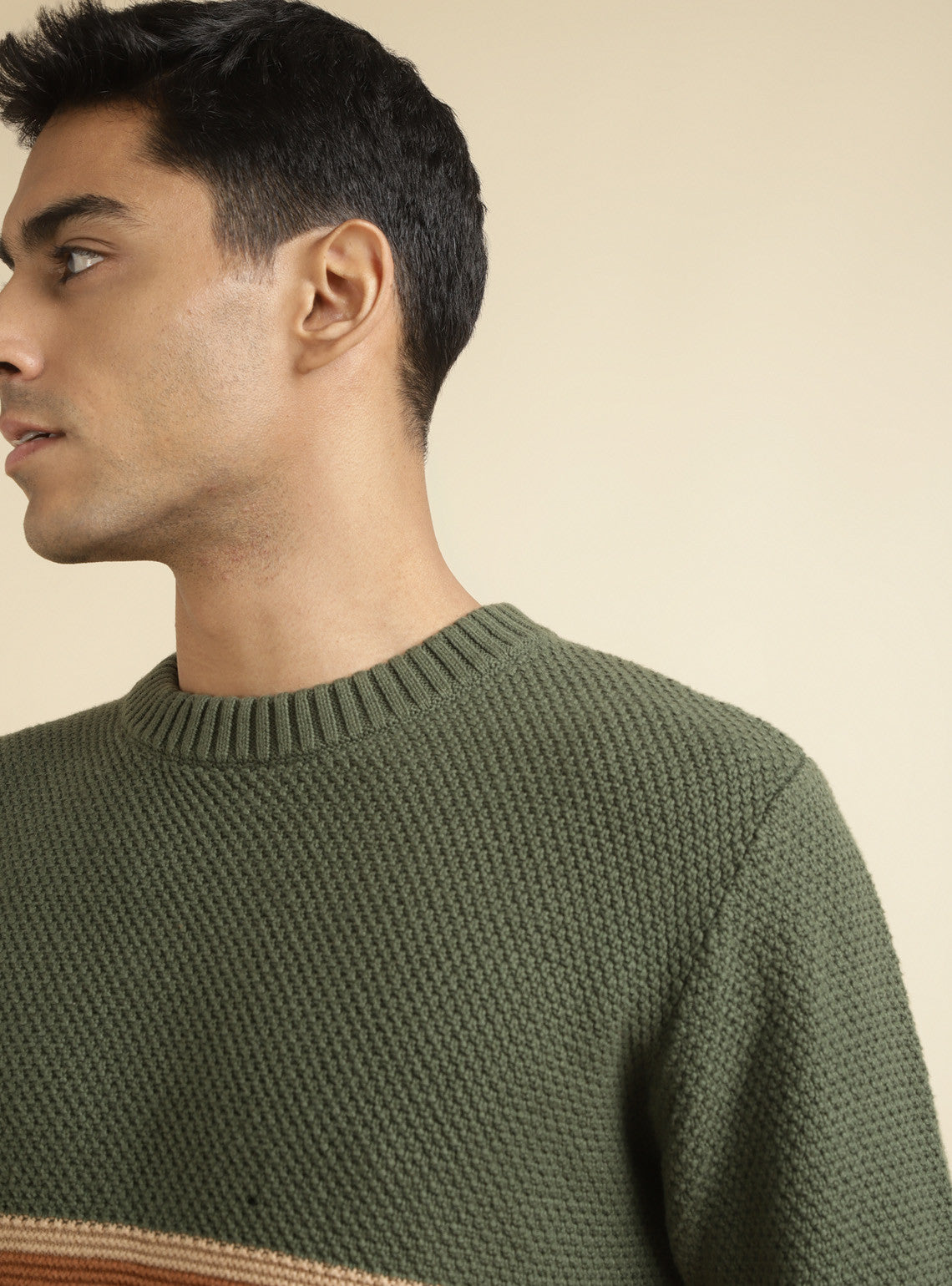 Sand Moss Pullover